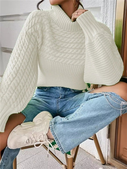 Devine - Cozy textured knit turtleneck long sleeve sweater